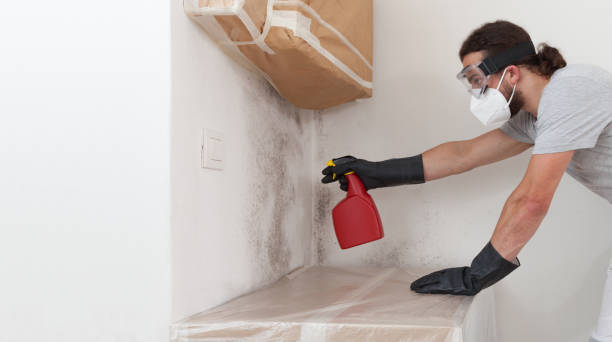 Professional Bathroom Mold Removal technician working in Elmira, NY
