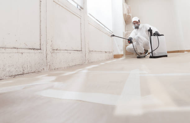 24/7 Emergency Bathroom Mold Removal experts in Elmira, NY